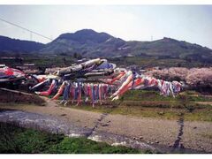 ��̂ڂ�̒O����n���̎ʐ^1