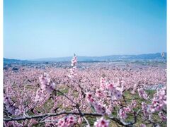 �I�̐�s���R�܂�̎ʐ^1