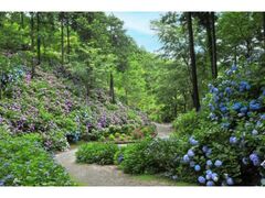 �~�n�k�ω��̂���������䶗����J���̎ʐ^1