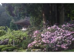 �����O���@�̃V���N�i�Q�̎ʐ^1