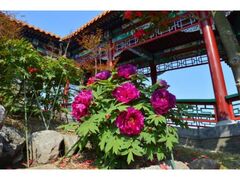 �ō��~�{�^���E�B�[�N�̎ʐ^1