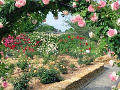 �΂灕�N���}�`�X�܂�̎ʐ^1