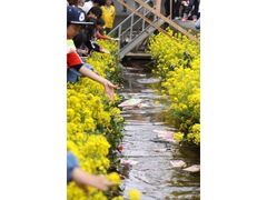 ����悵�Ő������тȂ̎ʐ^1