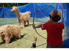 GW�́A�ނ��΂񂾓��a�|�g���h���ނ��΂񂾁|�̎ʐ^1