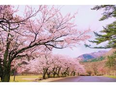 �D��R���{�������̍��̎ʐ^1