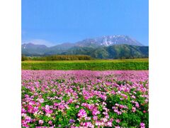 �����R�R�[����`��Ɗό��^�N�V�[���̎ʐ^1