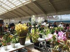 �݂Ƃ⃉���E���E���܂�̎ʐ^1