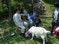 �X�̒a�����̎ʐ^1