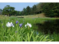 �P���r�̃J�L�c�o�^�̎ʐ^1