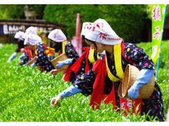 ���ݍՂ̎ʐ^1