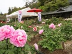 �g���Ð_�Ђ̉��L�Ɖ��O���̎ʐ^1