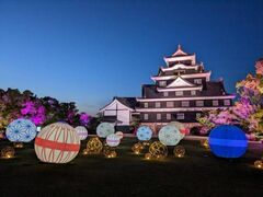 �t�̉G�铔�����̎ʐ^1