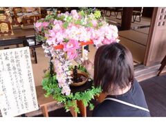 �ŏ��ׁ@�Ԃ܂�̎ʐ^1