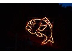 �Ђ������̎ʐ^1