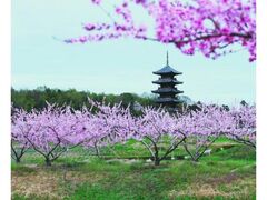 �g���H�i�����������t�߁j�̓����̎ʐ^1