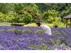 �܂��΂̊ف@���x���_�[�̎ʐ^1