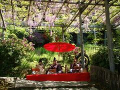 �����̉�̎ʐ^1