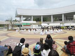 �g�������s�s���񂳂�Ղ�̎ʐ^1