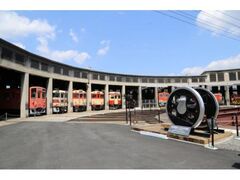 �ÎR�܂Ȃт̓S���ف@��`���ǂ��܂�̎ʐ^1