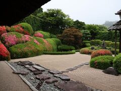 ���v���̃T�c�L�̎ʐ^1