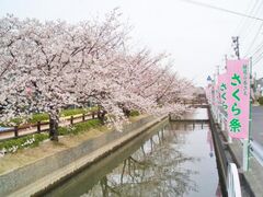 ���j�ƕ����̂܂��@�����E�����ӂ邳�Ƃ�����Ղ̎ʐ^1