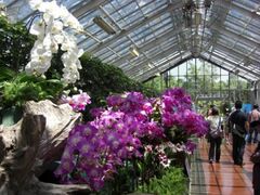 �t�̗m�����W�̎ʐ^1