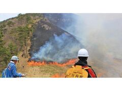 �[���R�R�Ă��̎ʐ^1