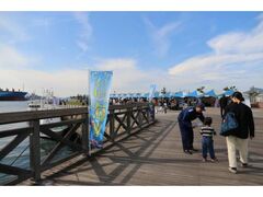 �C�m�����s�s����C��2026�̎ʐ^1