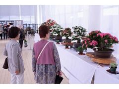 ��35��O�������Ղ�̎ʐ^1