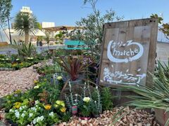 �͂Ȃ̂�}���V�F2026�̎ʐ^1