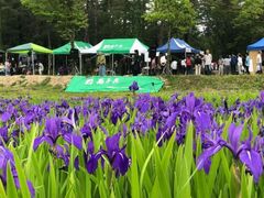 �J�L�c�o�^�̗��̌����̎ʐ^1