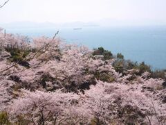 �������R�����̍��̎ʐ^1