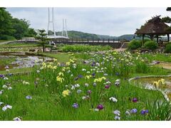 �Ƃ�������@���傤�ԉ��̃n�i�V���E�u�̎ʐ^1