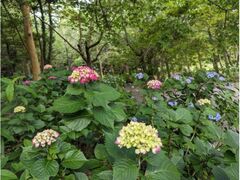 �Ƃ�������̂����������̎ʐ^1