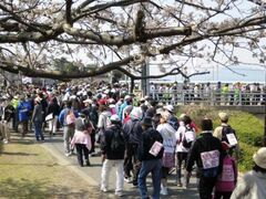 �ېV�E�C���E�H�[�N�̎ʐ^1