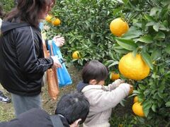 ���E�Ă݂���܂�̎ʐ^1