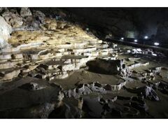 �H�F���@�ł̃��}���T���̎ʐ^1