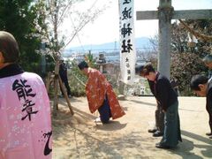 ���g�_�Ё@��ւ̃T�N���Ղ̎ʐ^1