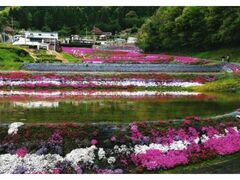 ��14��哹���ō��܂�`�������I�c��10���{�̃V�o�U�N�����炫�ւ�`�̎ʐ^1