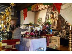 ������i�Ԃ܂�j�̎ʐ^1