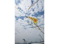 ��30�񂽂ǂS�����������̎ʐ^1