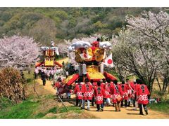 �����܂�̎ʐ^1