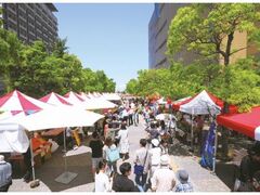 ���ʂ��}���V�Fin�T���|�[�g�̎ʐ^1