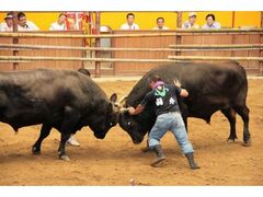 �F�a������������@�܌��ꏊ�̎ʐ^1