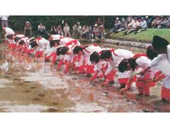 ��R�_�_�Ё@��c�A�Ղ̎ʐ^1