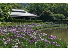 ��y���ԏҊ��܂�̎ʐ^1