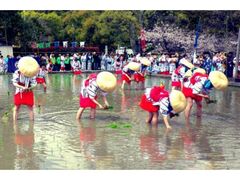 �_�c�Ղ�i�ǂ�񂱍Ղ�j�̎ʐ^1