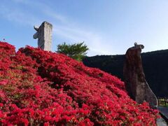 �������̃c�c�W�̎ʐ^1