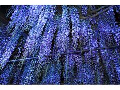 �������ؑ員�܂�̎ʐ^1