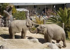 �����s�������@����̓��̎ʐ^1